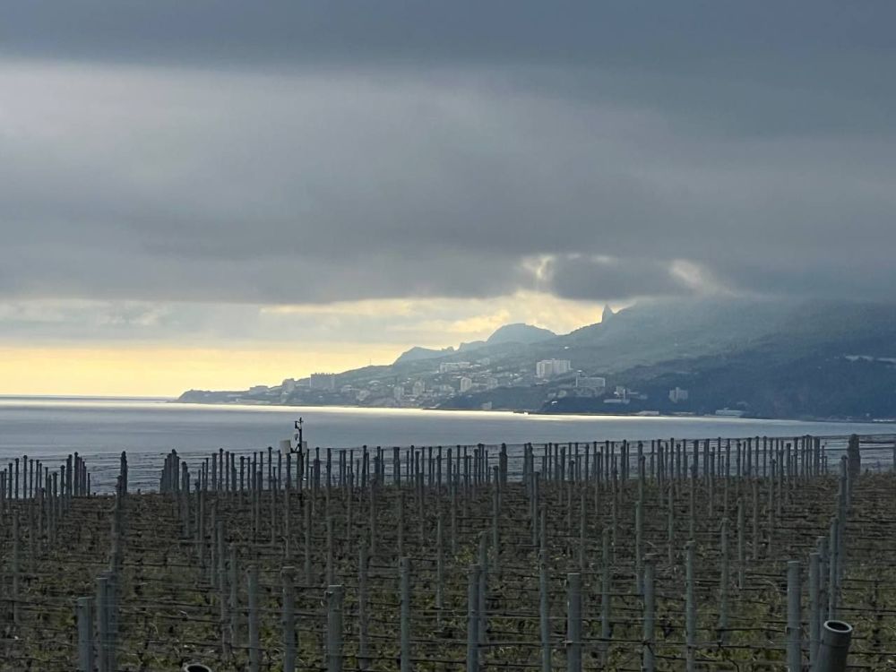 � ������� �������� �����!. ���� ��������� ����������, �������� ���������, �������� �������