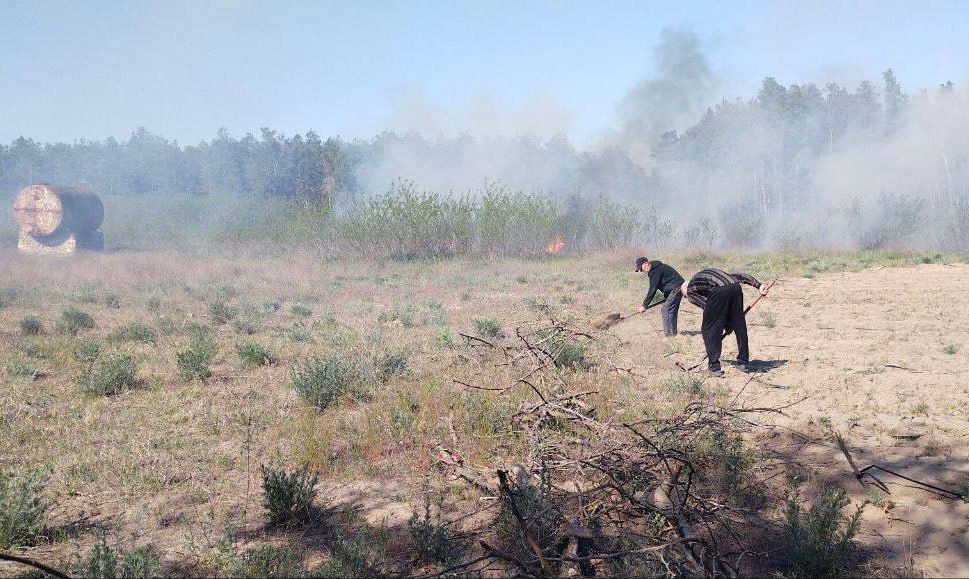 ������ ������ ������ ���� ������������� �� ���������� ���������������� ������� � ������ ������� ����������