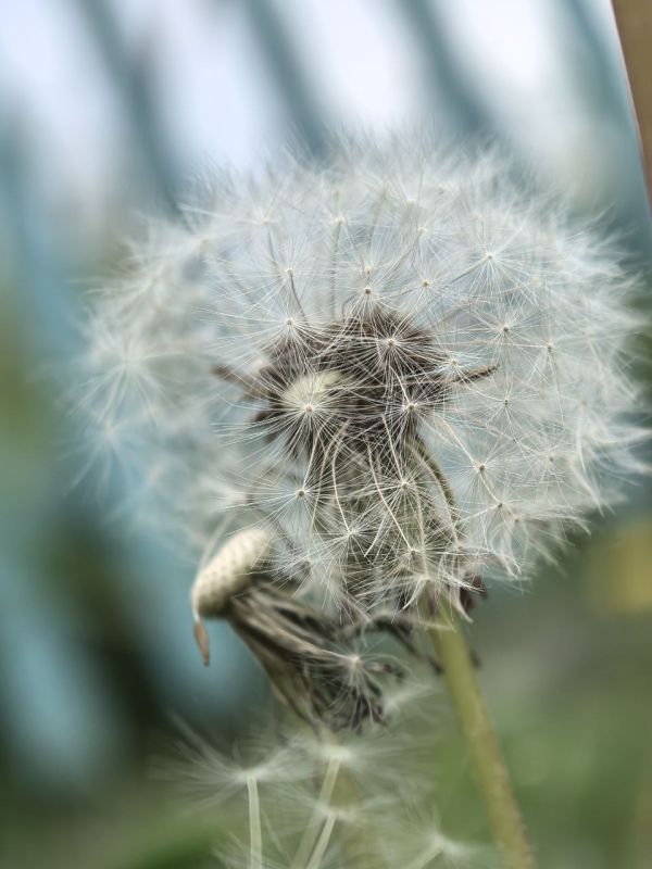 � ������ �����, �����������! � ������� �������� �����!