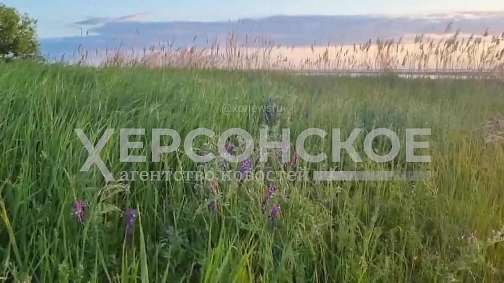 ������ ���������� ����� ��� ��������� ����� �������� �� ���������� �������