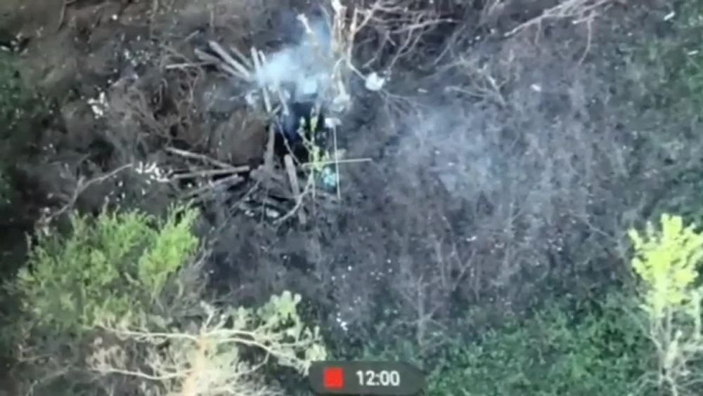 ������ ����� ���������� �� ����������� �����������