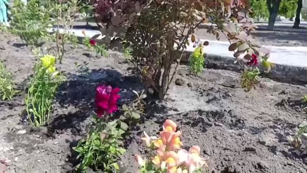 ����� 500 �������� �������� � ���������� ������ �������� ����� � 80-����� ������