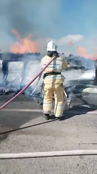 ��������� ����������� �� �� ��������� ���������� ����� �����