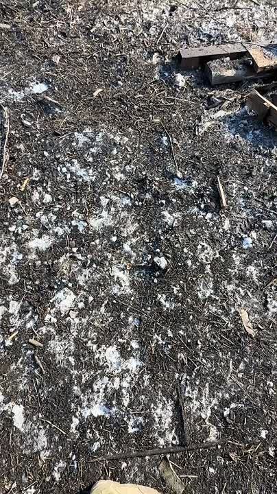 ������������ ������ �������� ��������� ������ �� ����-�������� �����������