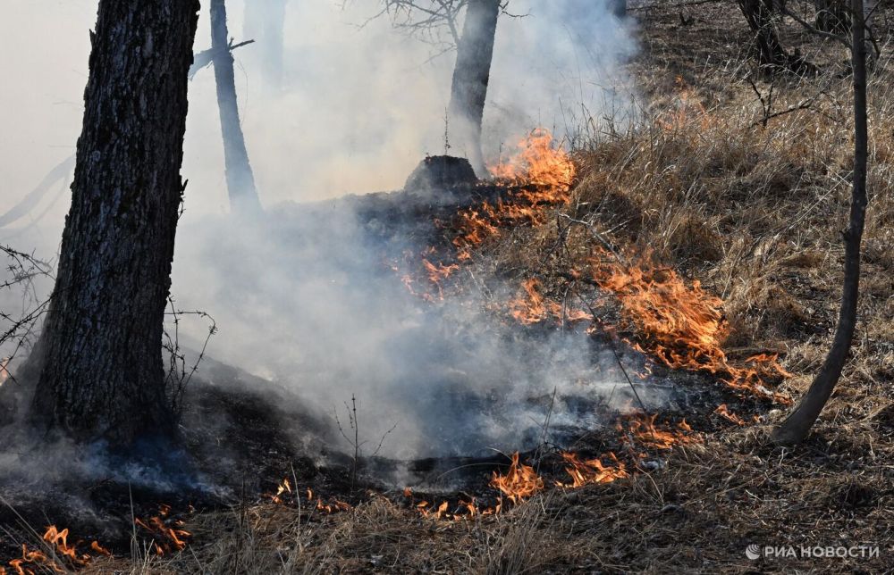 � ���������� ������� ��� ��������� ��� ��������� ��� ������ ������