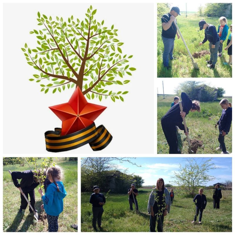 � ���� ������������ ������������� �������������� ������ ���������� ����� ���� ������, ����������� 80-����� ������� ������!