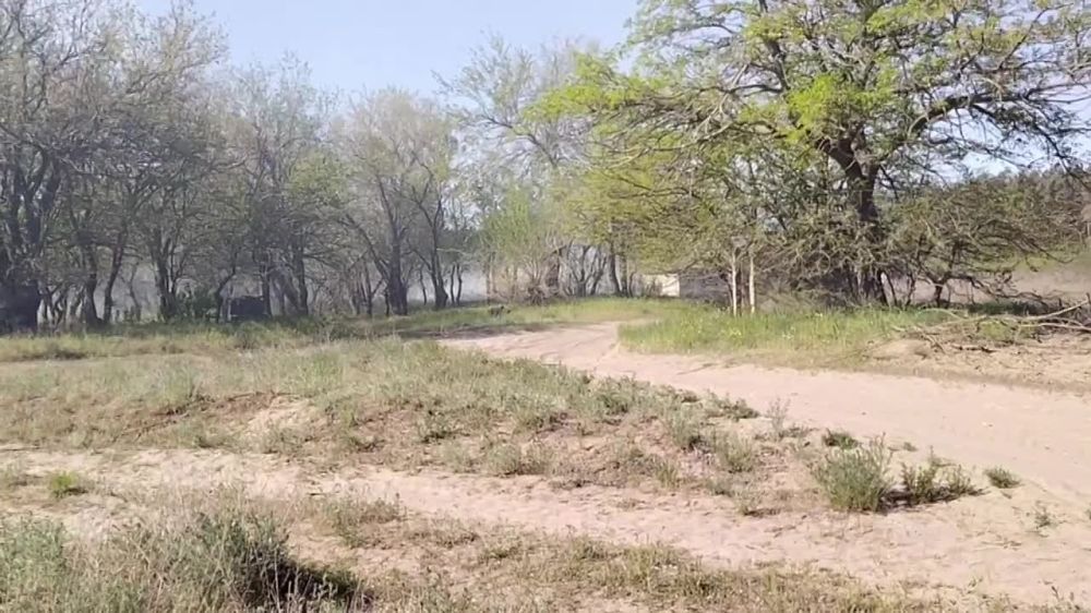 ���������� ���������������� ������� ������������ ������ ������� �� ����������