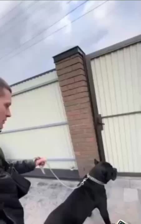 � ���������� ������� ��������� �������� ������: ��� ������� ������ ������� �� ������������� ������� � �������������� ���