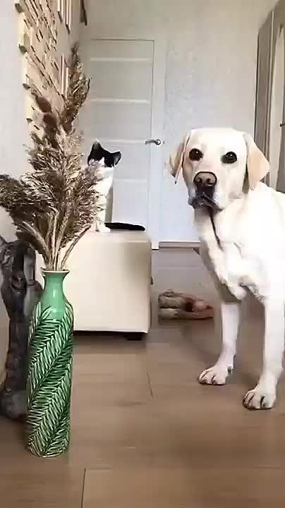 �� ��� � �����. �� ���� ������� ������