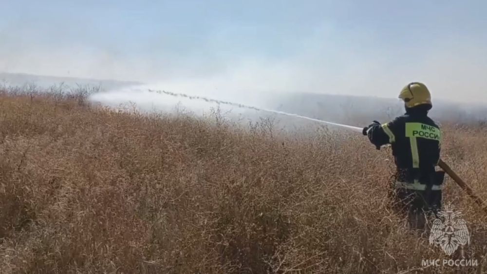 � �������� � ������������ �������������� ������� � ���������� �������