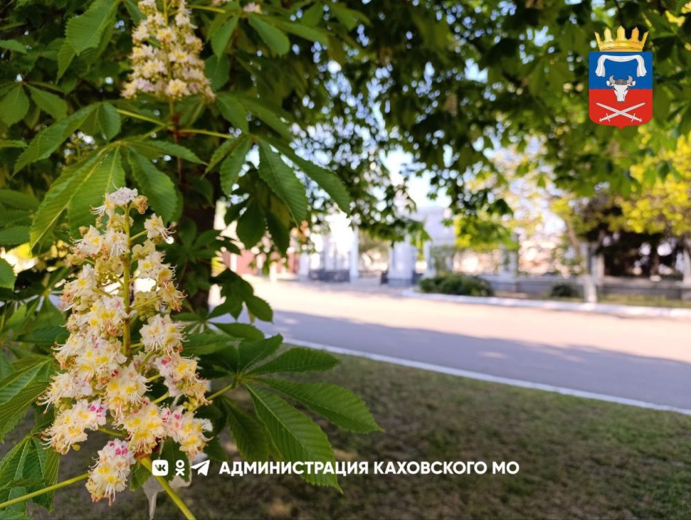 ������ ����, ������ ���������� �������������� ������!