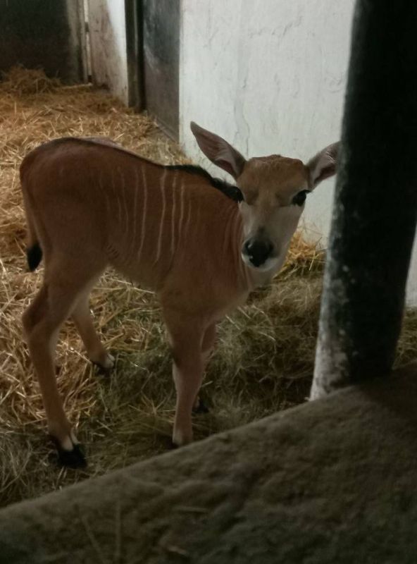 ��������-����: ����-��� � �����!