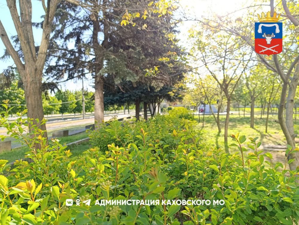 ������ ����, ������ ���������� �������������� ������!