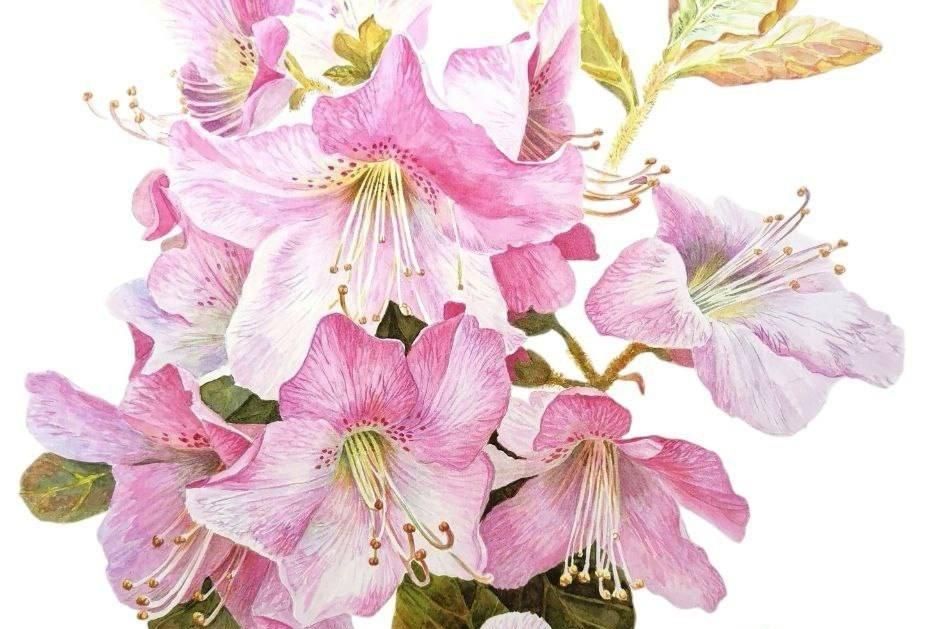 ������� ���, ���, ���������� � ����������� �������� ���������� ���������� ���������������