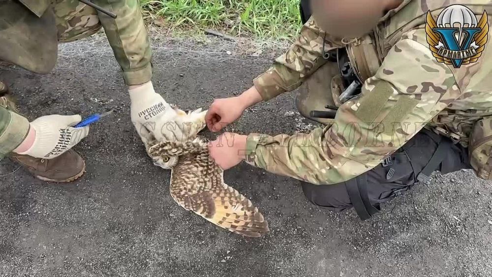 ������� �������, ���������� �����