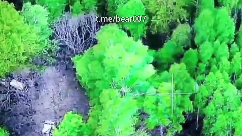 ���� �� �������: ����� "�����" ��������� ���� ��� � �.�. ���������, ������� �������