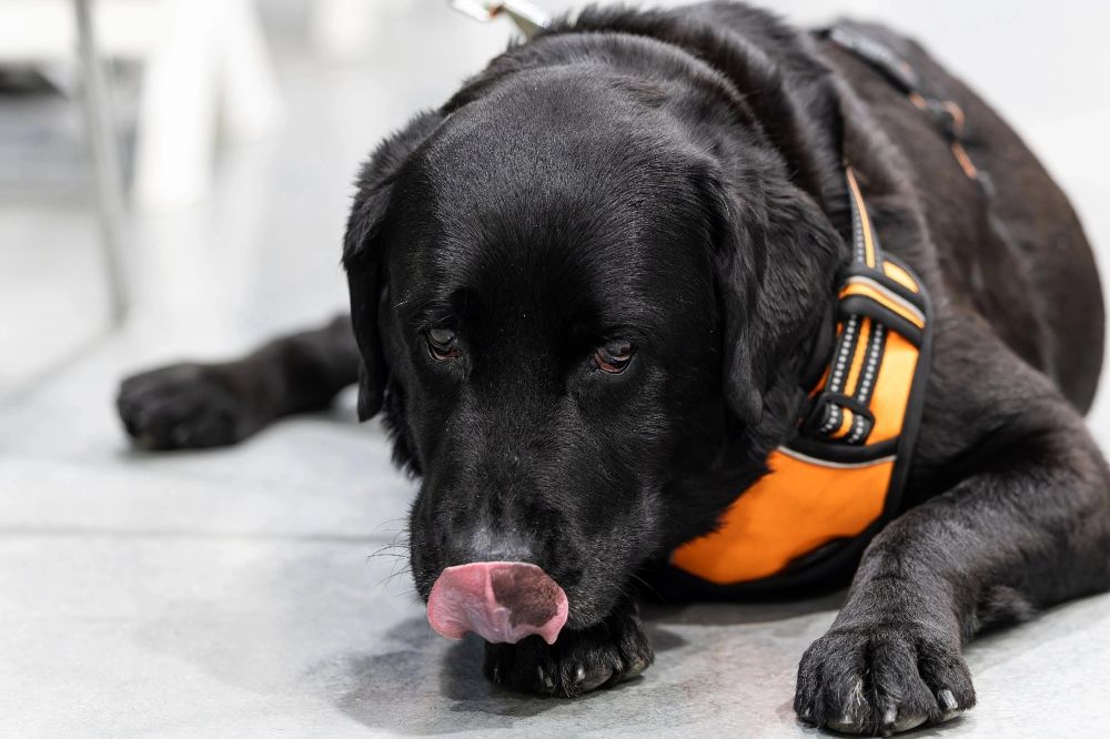 ������� ������ ����� ������ ���� � ����� ����� ��� ��������: ��� ��������-����� ������� ����� ������ �� ���