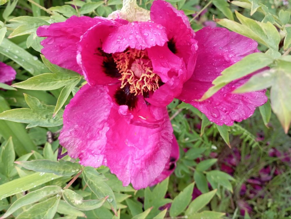 Майский вечер.... Тихий вечер