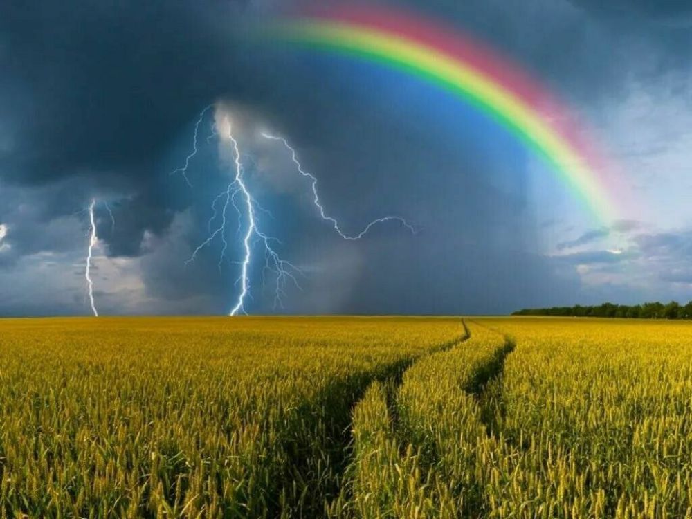 . ������ ���� � ����������� , ��� �������