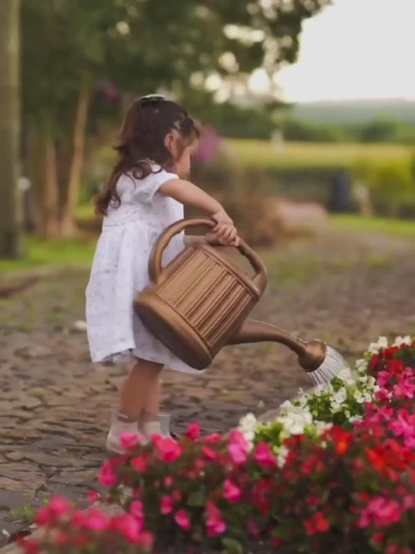 ��� ���� � ���� ����� ���� ����� ��������, ������� ����� �������� ����� ������ �����