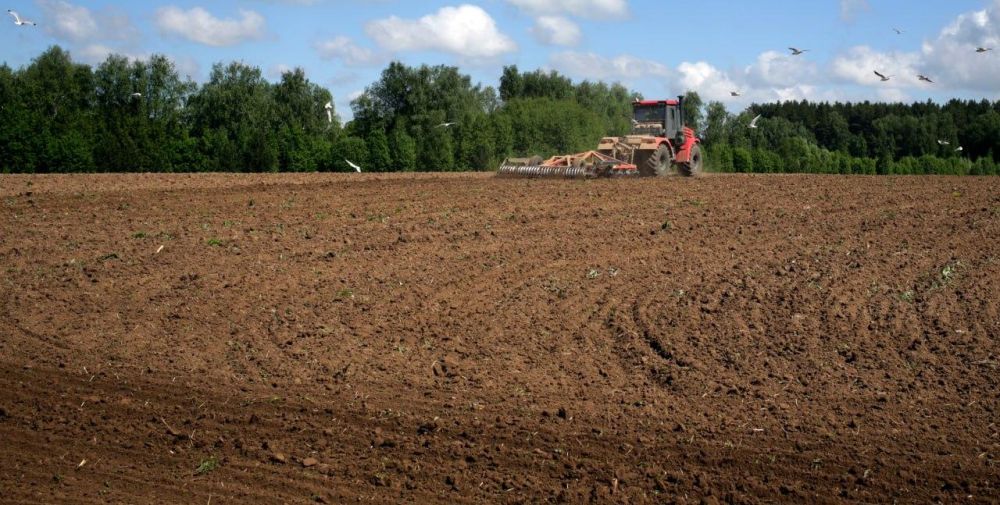 В Херсонской области продолжается яровой сев