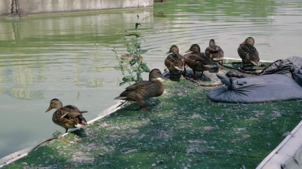 ���� � ����. ��� ������ ��������� ��������� ��������� ������ �������� � ������������ ����� � ��������! �����: ������� ����� �������� ������� ������������ �� ����