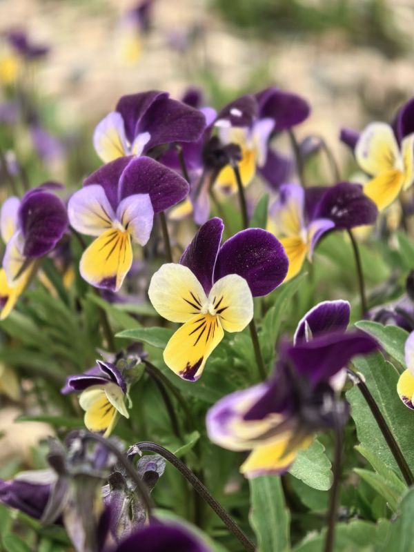 � ����� ����, ������� �����������!