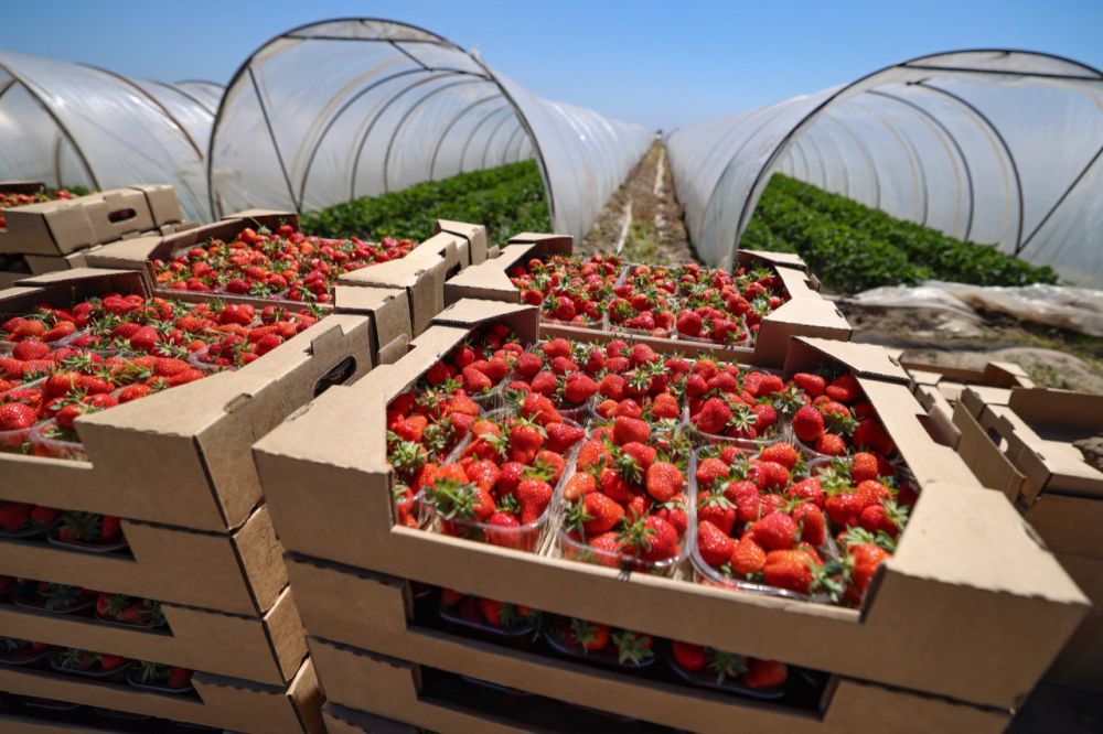 � ���������� ������� �������� ������ ������ ��������