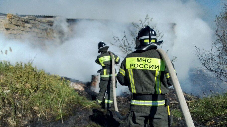 За сутки в Херсонской области ликвидировали один природный пожар