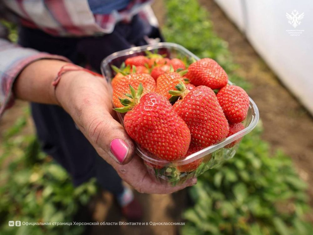 ������ ������ �������� �������� � ���������� �������