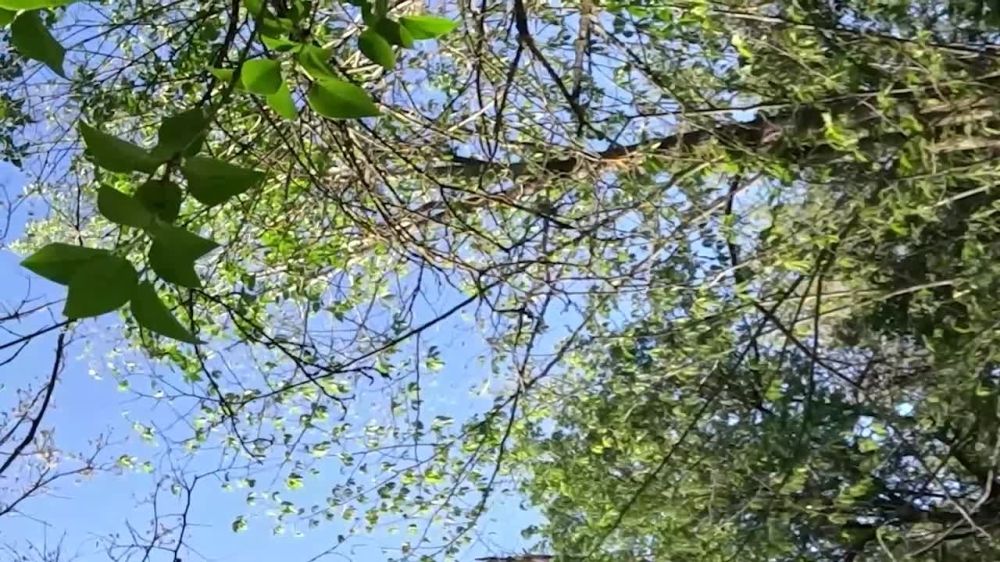 ���� �� �������: �������� ������ � ������ � ���� �������������