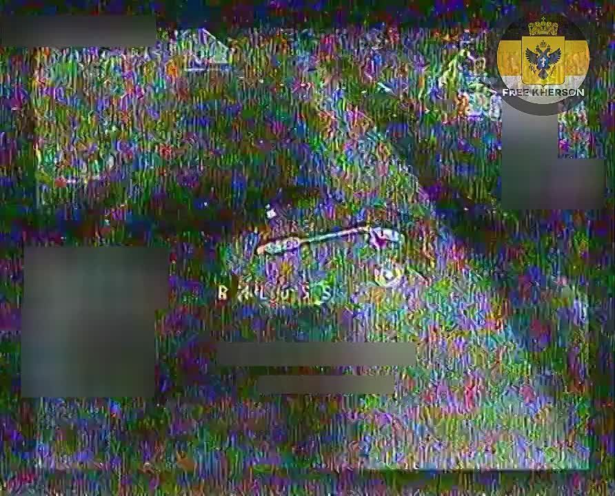 � ���� ��������, ��������� 49-� ����� ���������� �����-��������, � ��������� ��� ������ ���������� ������ ��������