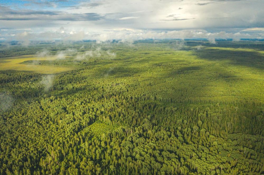 �������� ��� ������ ������ �� ��������� ���������� ����� � ����� �������� ����� �������� ��� �� ����� ����