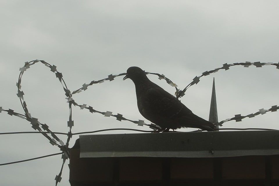 �������� ������: � ����� �28 ��������� ���������� ��� ��������� �������������