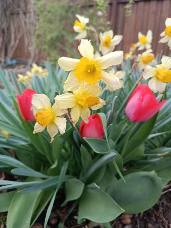 ������� ������, �����������!