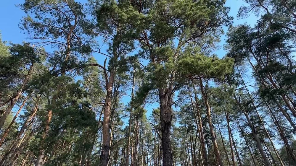 � ����������� ��������� ���������� �������� ����� � �������� ���������