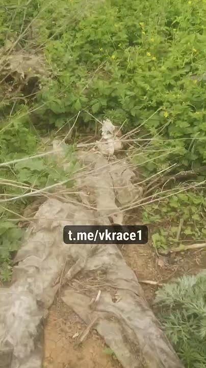 ��� 200. ��������-����� ���������� �������