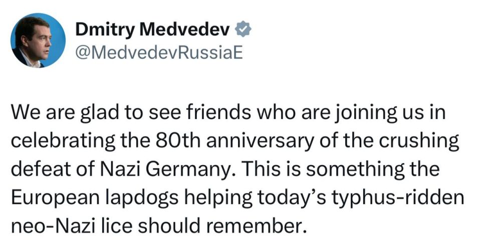 Медведев назвал европейцев "комнатными собачками"