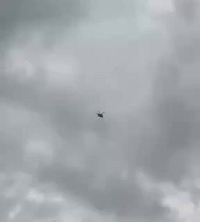  :    ,  , ,   ,      00.00  7  8   00.00  10  11 .          ...