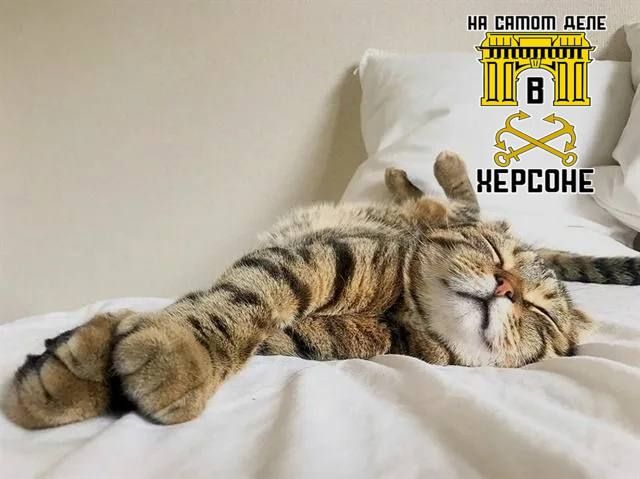 ������ ������ - ������������ ������