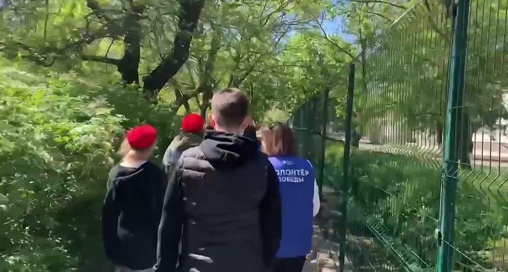 Международная акция «Георгиевская лента» пройдёт с 24 апреля по 9 мая 2025 года