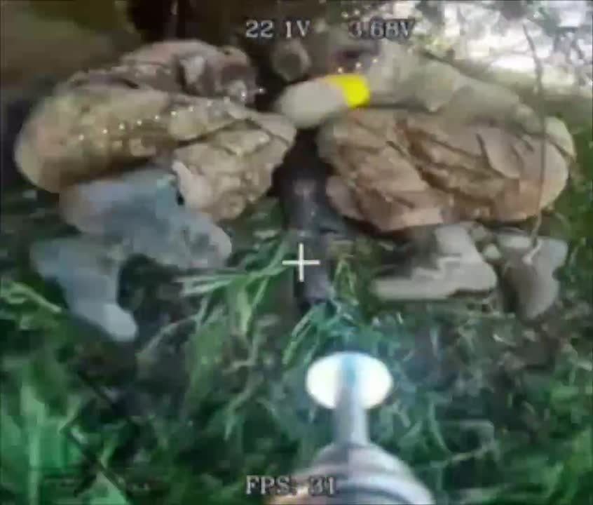 FPV-���� �� ����������� ���������� �3 ���������� �������������� ��� ������� �� ����������� �����������