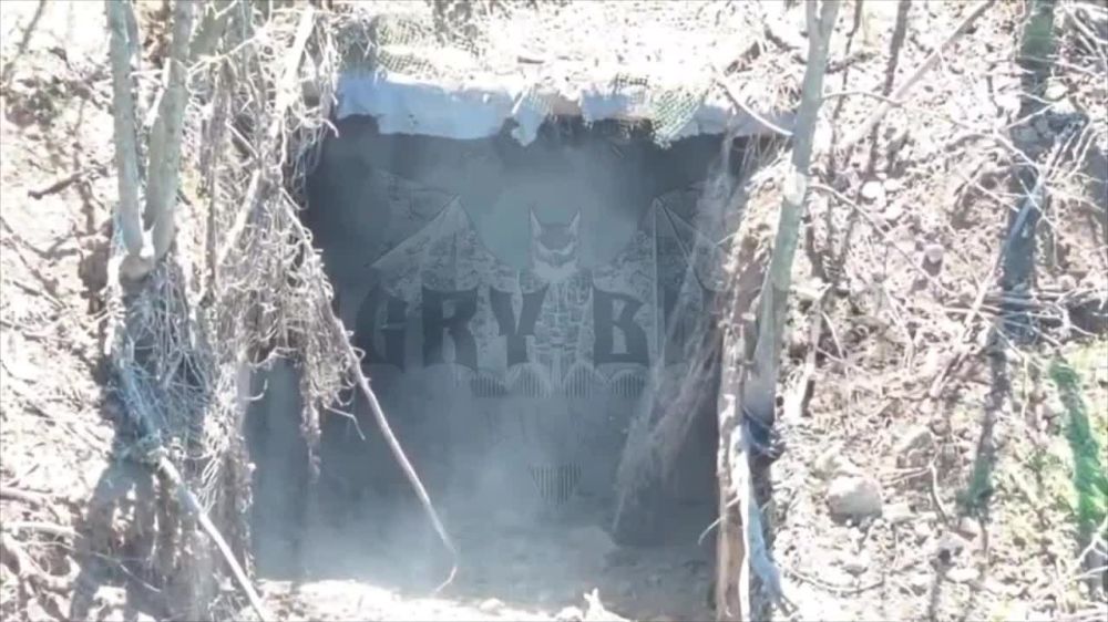 ���������� �����������.. ���� ��������� �� ��������� ������ � �������� ���������� �� ������ ������ ������ ���� �� ������ ������������ � ����� ����� � ��������