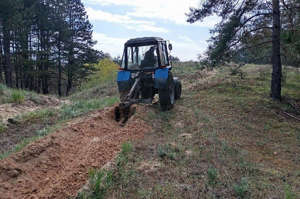 В Голопристанском лесхозе устраивают и ухаживают за минерализованными полосами