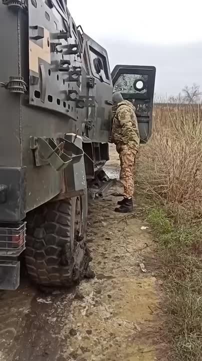 ���� �� �������: ������������ ���� ���� ����� ��� "�����" ��� � ���� ���