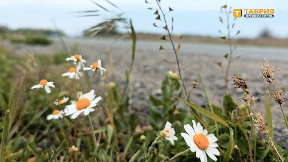 "� ������ �������, ������ ��� ��� ����� ������ �� ����": ��� 15 ������� 2023 ���� ����� ������ ���� �������� ��� ���� ���������� � �� ����