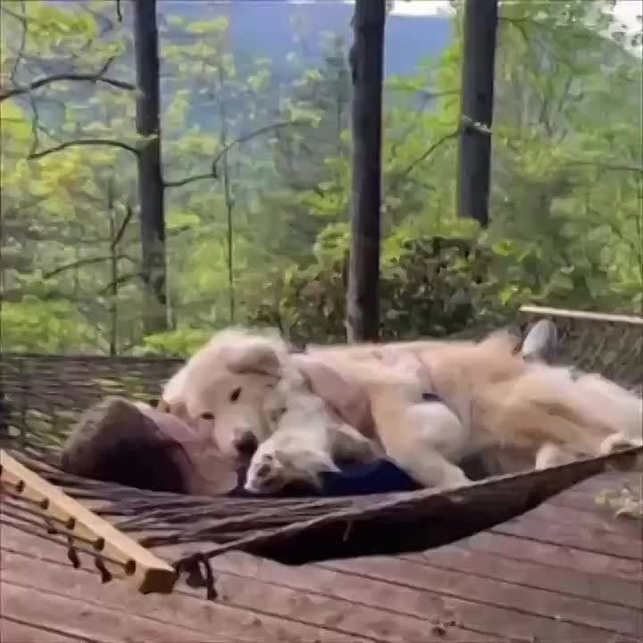 �����������... �� ���������� ����������� �������� � �������, ������ � � ����, �� ��������� � ����� ��������� ������. ������ ����� ��������� ���� ���������. ��� ����� ��� �����, ������ �� �����, ����� ����� �����������...