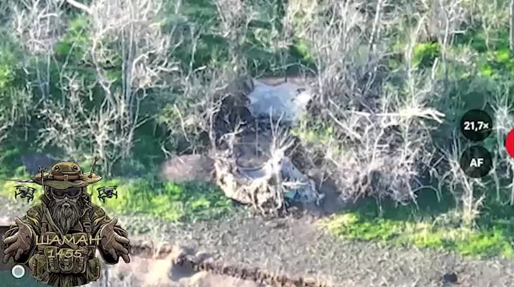 ���� �� �������: ��������� ������ ������������� "�����" 1455 ����� ���������� ������ ���������� �������������� ����������, �� ����������� �����������