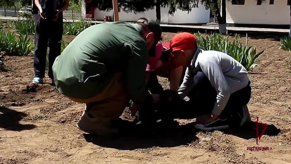 ���������� ���������� ��� ������ �� ���������� � ���� ���������� ��� �������� ������� ���������-���������������� �����