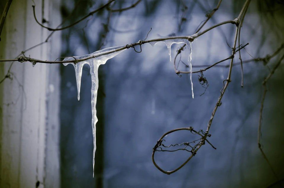 � ��� ������������ � ���������� � ���������� ������� 12 ���